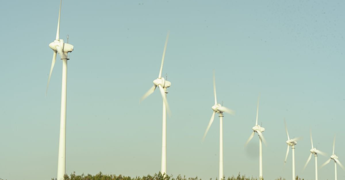 Federal Court Halts Defense Department Wind Project Review Freeze