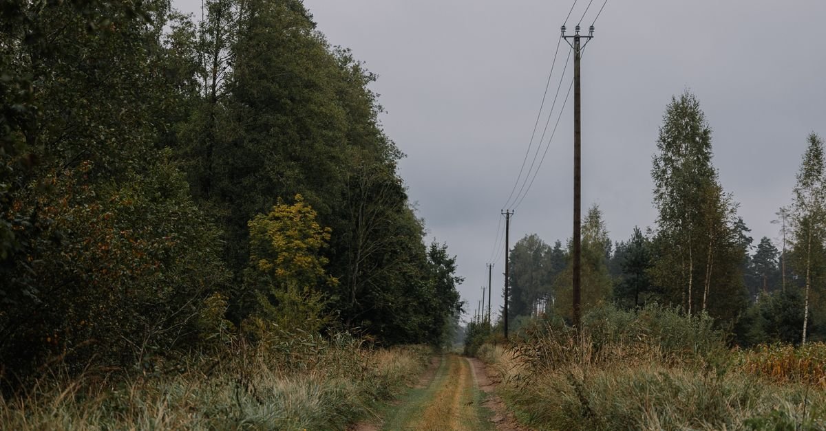 BGE Refines Vegetation Strategy Using Risk-Based Prioritization