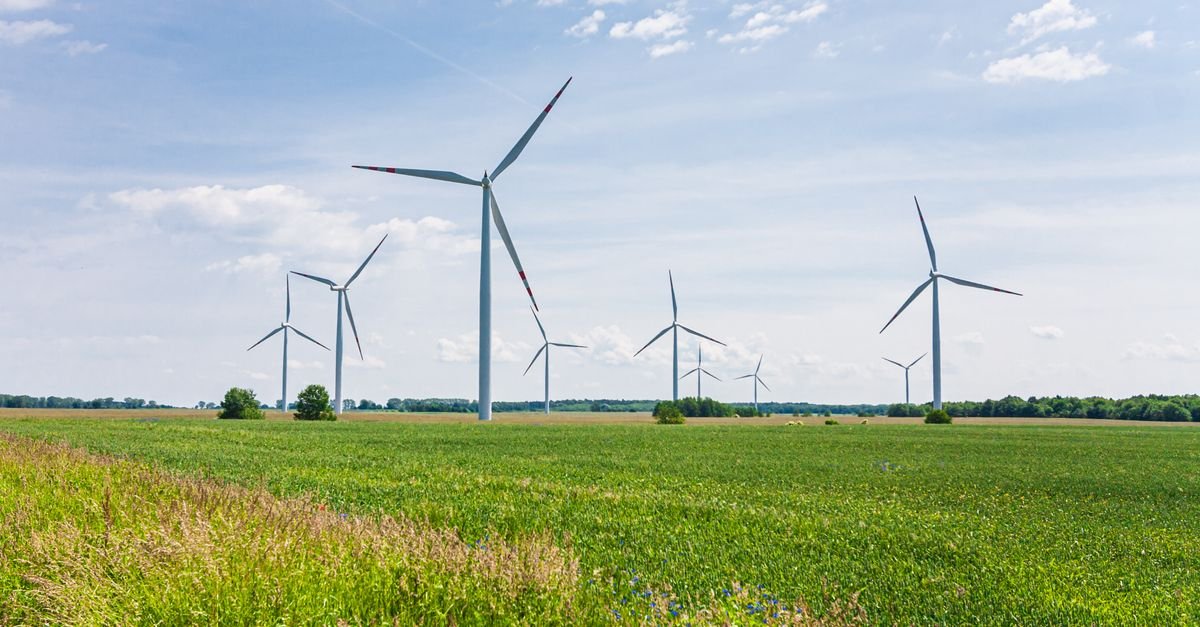 EVs with V2G Technology Stabilize Renewable Microgrids