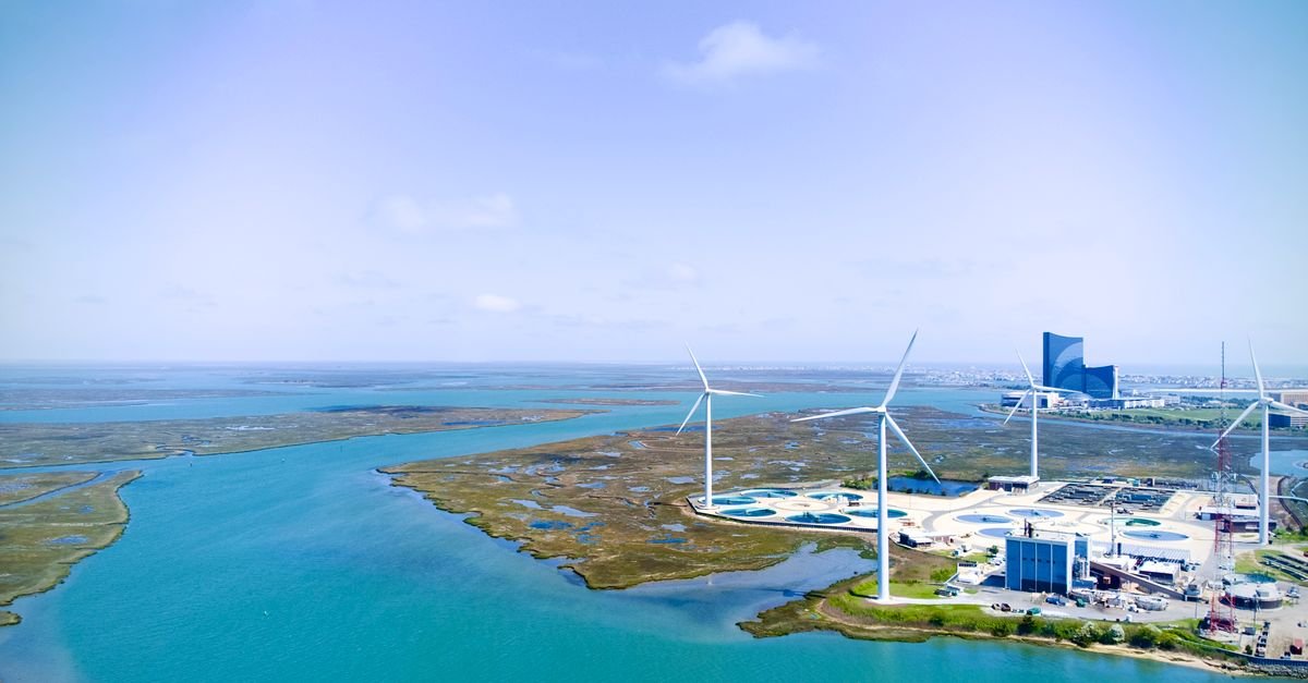 CNN vs. Graph Neural Networks for Wind Farm Wake Prediction