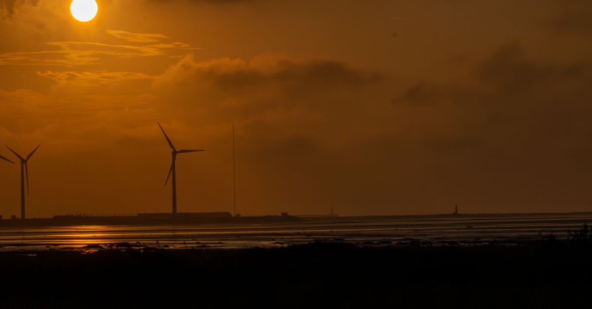 Data-Driven Models Accelerate Floating Wind Turbine Design Optimization
