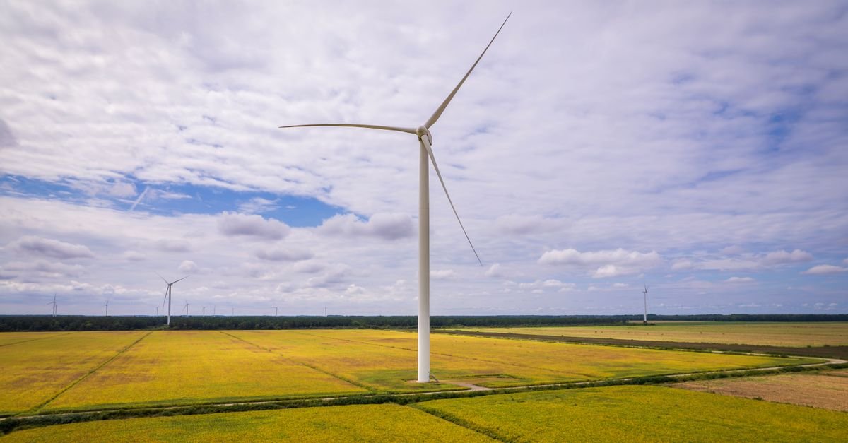 AWAKEN Benchmark Reveals Limits and Potential of Wind Farm Models
