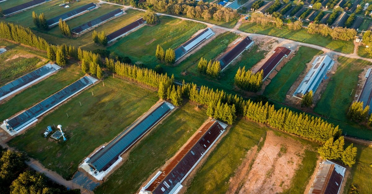 Tesla Signs 140-MW PPA with Zelestra Solar Project in Texas