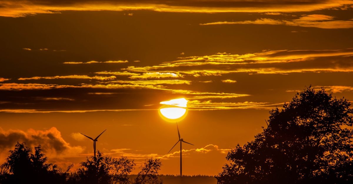 Financial Development Drives Renewable Energy Growth in South Africa