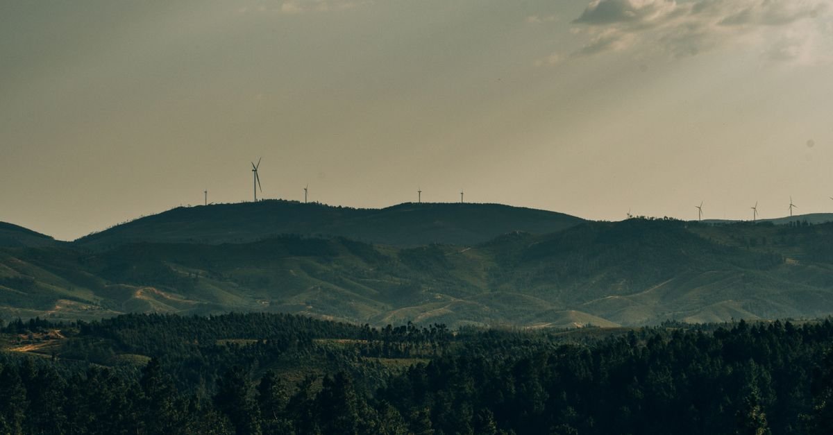 India Urges Separate DSM Rules for Solar and Wind Projects