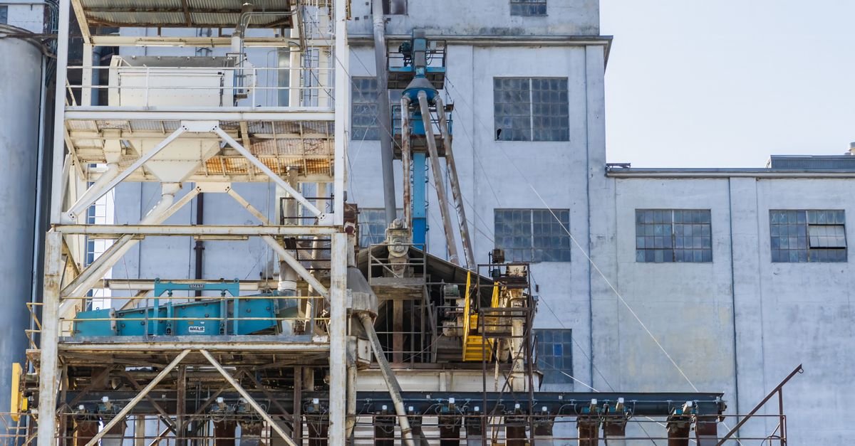 Carbon Pricing and Land Constraints Shape Bioenergy Investment Viability