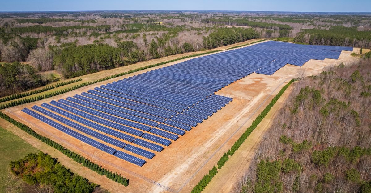 Agrivoltaics Balances Solar Energy and Agricultural Production