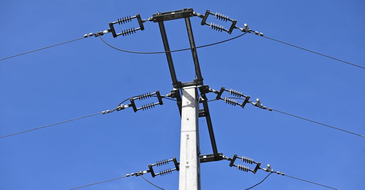 Resilience-Based Incentives Drive Grid Hardening Economics