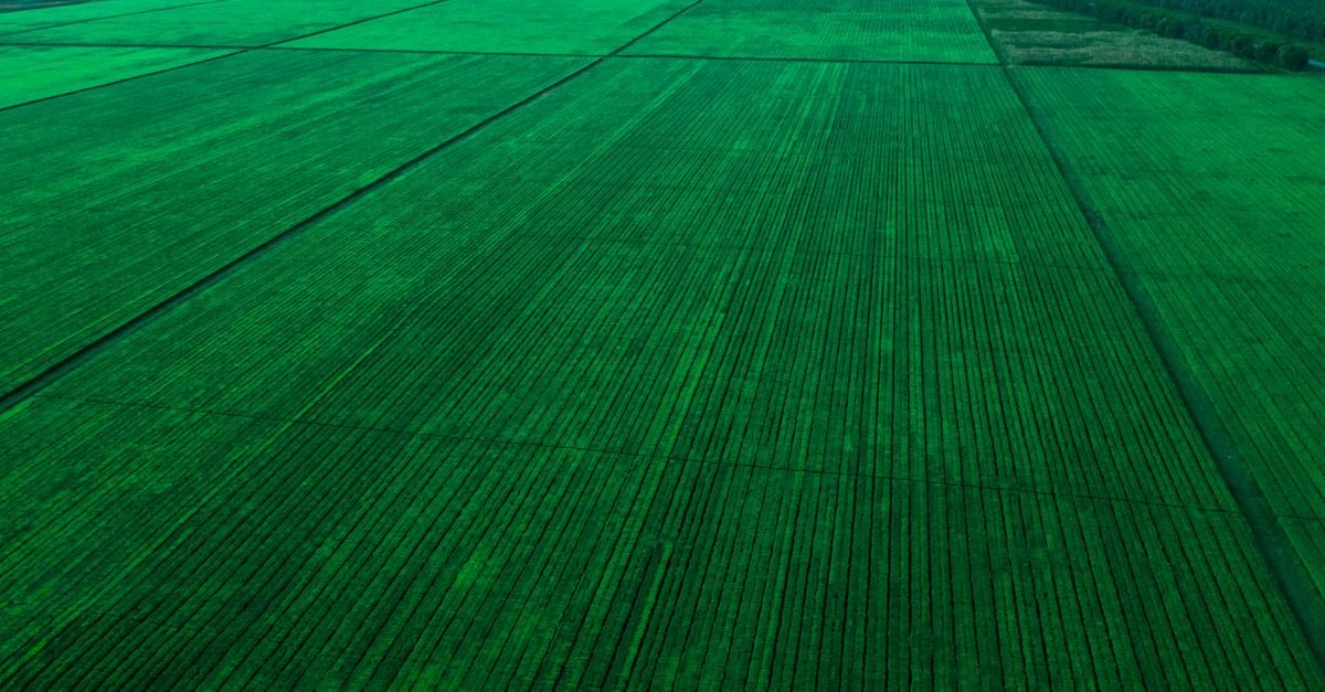 Solar Overtakes Coal as China's Leading Power Source