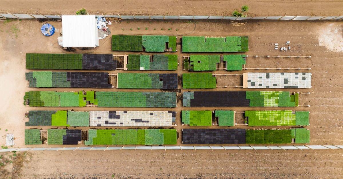 Mexico Mobilizes $4B for Renewable Energy and Storage Projects