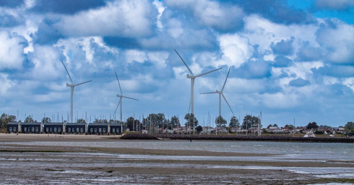 RWE targets more German offshore wind power agreements in 2024