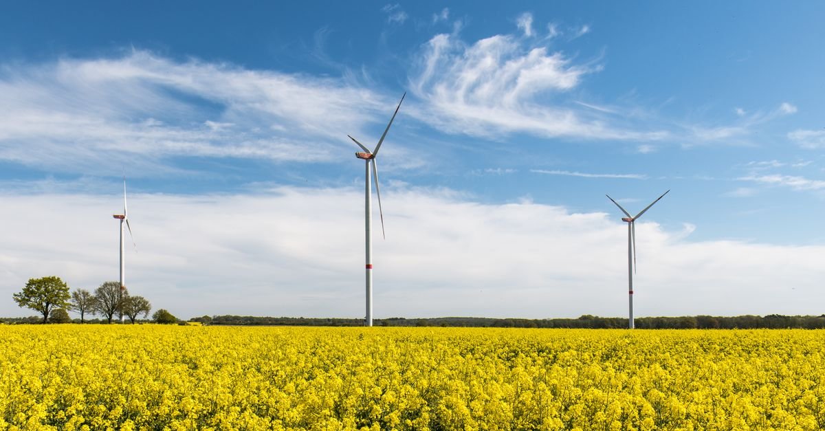 Federated Learning Improves Wind Turbine Collective Control Stability