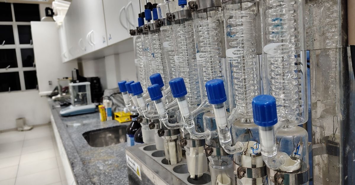 Water Density and Temperature Optimize Alkaline Electrolysis Efficiency