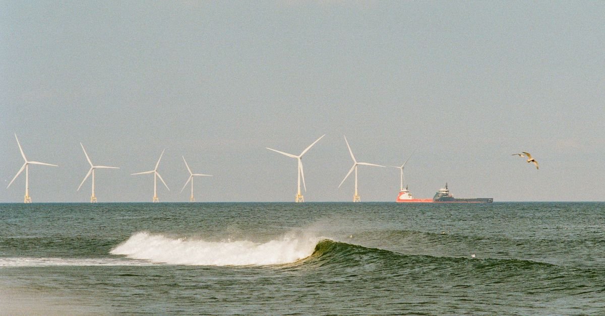 Single Accelerometer Enables Accurate Strain Monitoring in Offshore Wind Turbines
