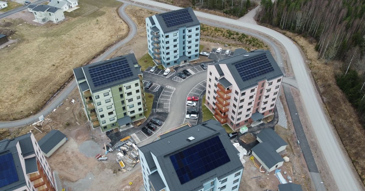 India's rooftop solar growth stalls amid domestic cell supply constraints