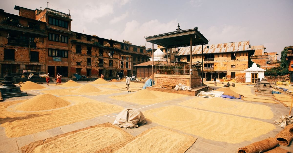 Ghana's green waste holds untapped biogas potential amid systemic barriers