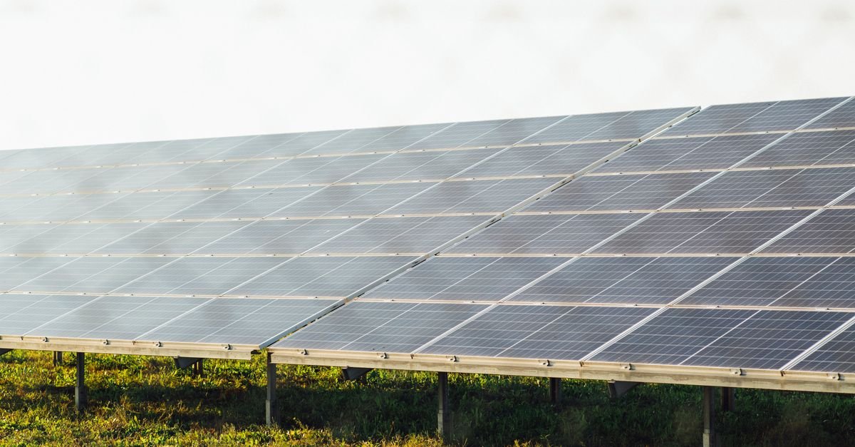 Global Solar Council Launches AgriPV Taskforce for Dual-Use Growth