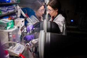 Sandia Microwave Method Transforms Spent EV Batteries Into New Cathodes