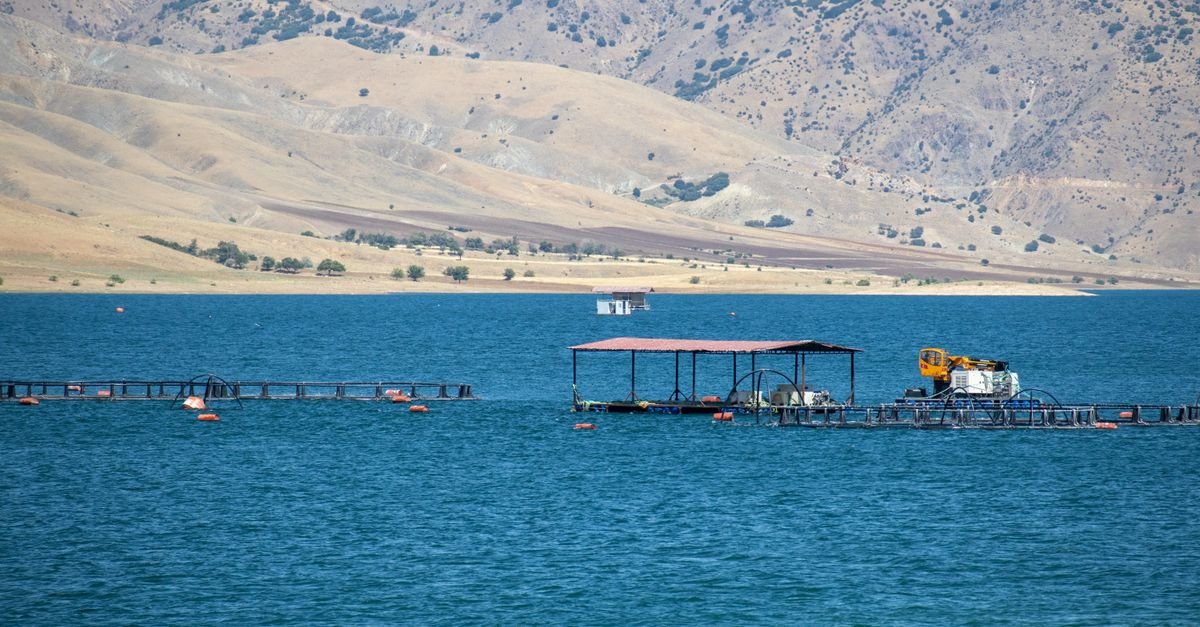 India's Floating Solar Struggles Beyond Subsidy Reliance