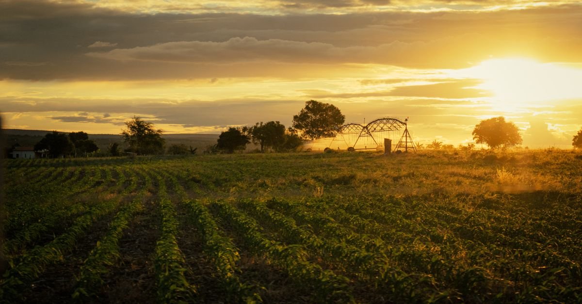 Meta secures 220 MW Texas solar via Sabanci Renewables PPA