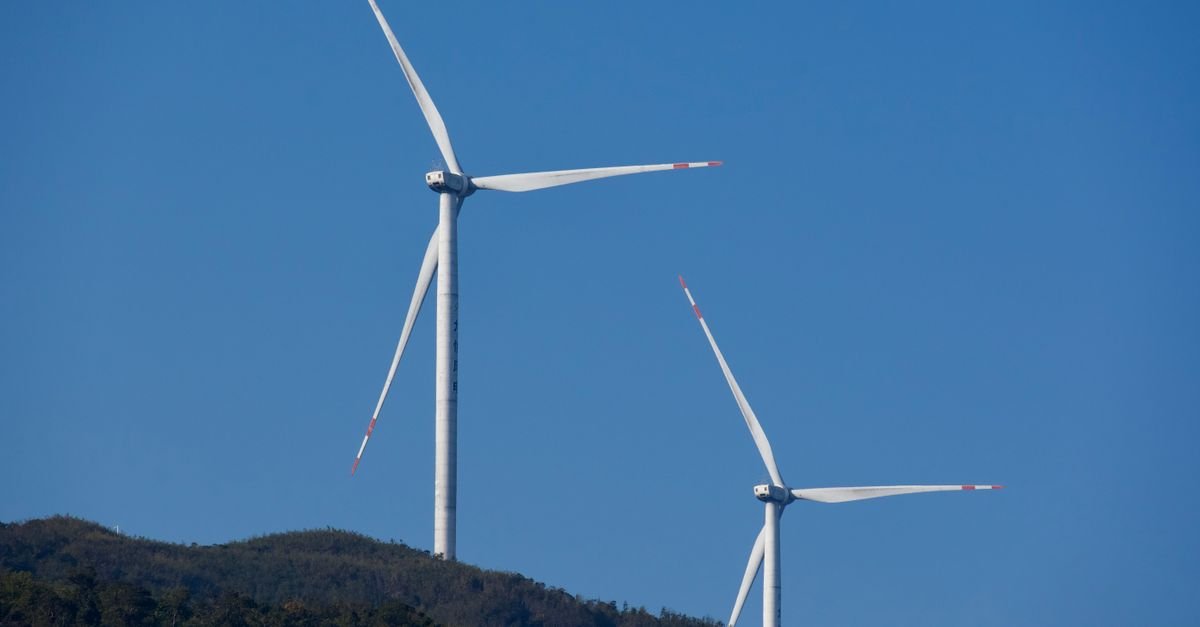 UNSW Develops Spectrally Selective Solar Modules for Agrivoltaics