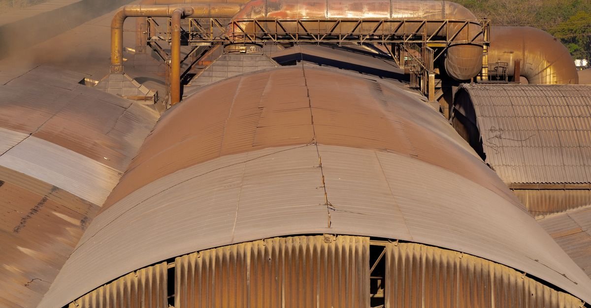 China's Biomass Strategy: Fuels Outperform Power for Climate Goals
