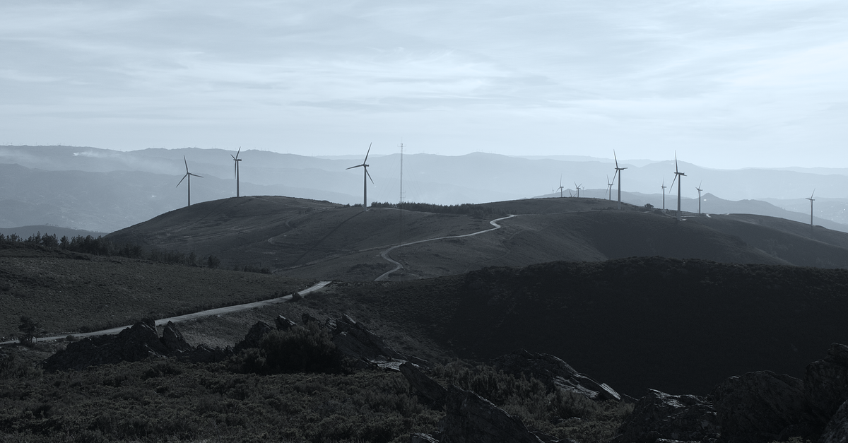 China's Green Hydrogen Surge Tests Commercial Viability Globally