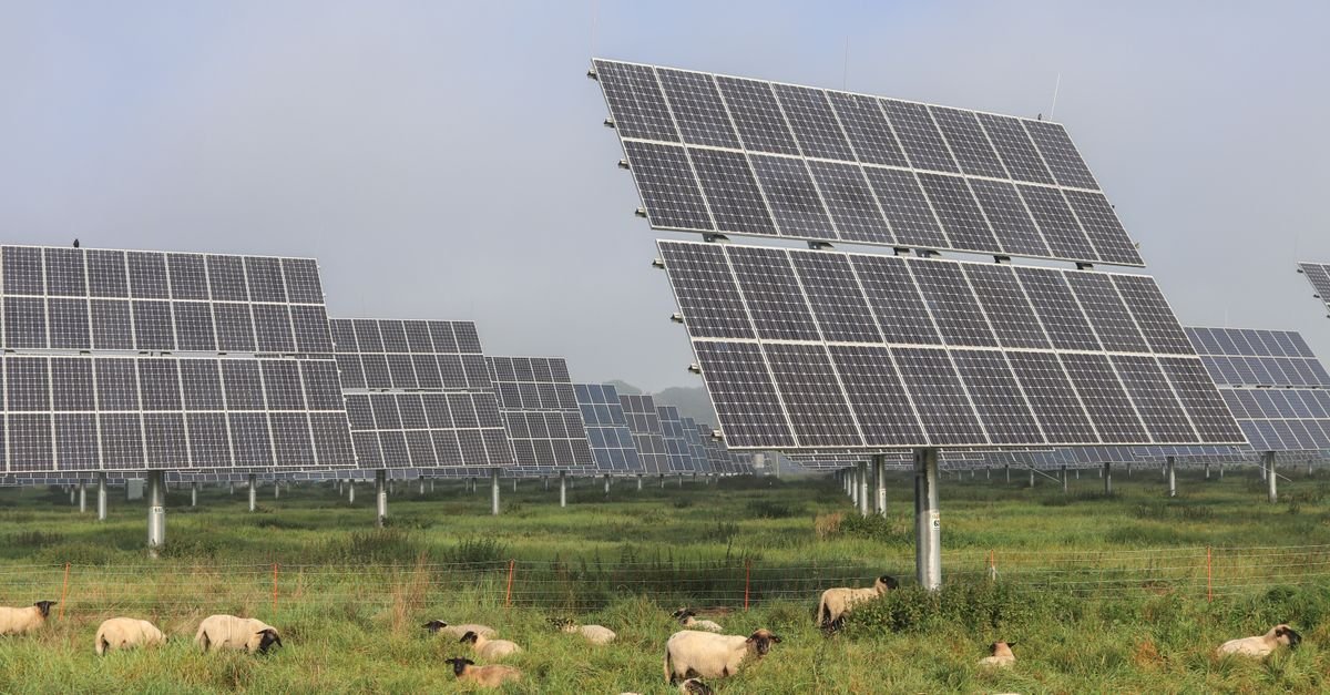 New Zealand's Largest Rooftop Solar System Goes Live