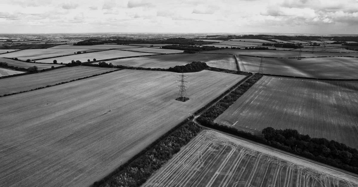 Autonomous drones reshape grid inspection and reliability