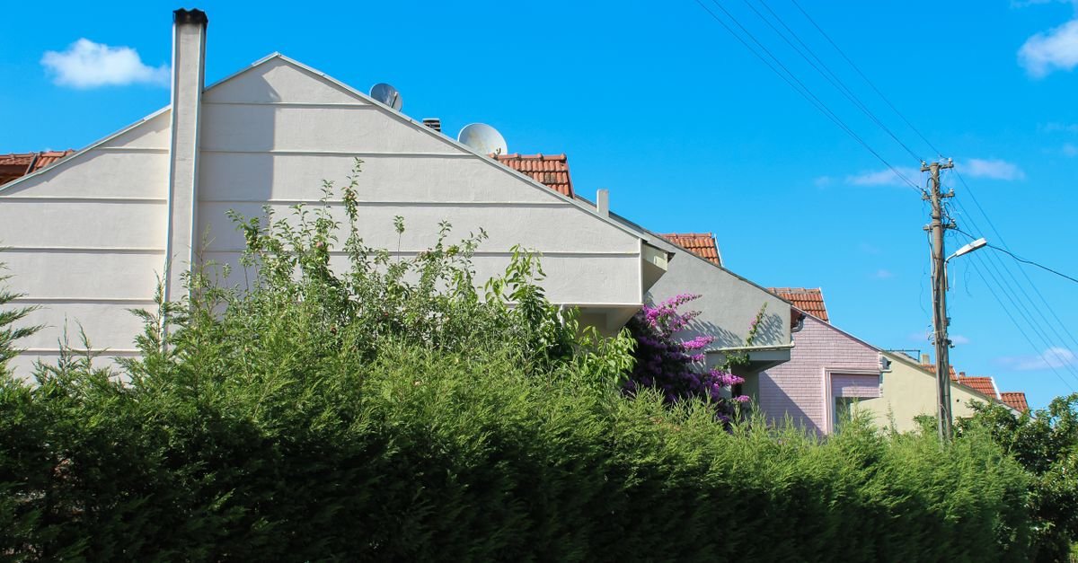 Turkish Households Show Mixed Support for Voluntary Renewable Energy Contributions