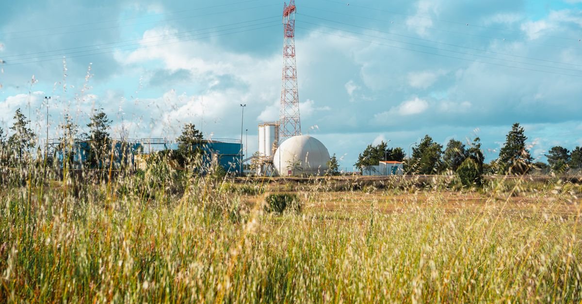 Minimal Control Nodes Decouple Disturbances in Power Grid Networks