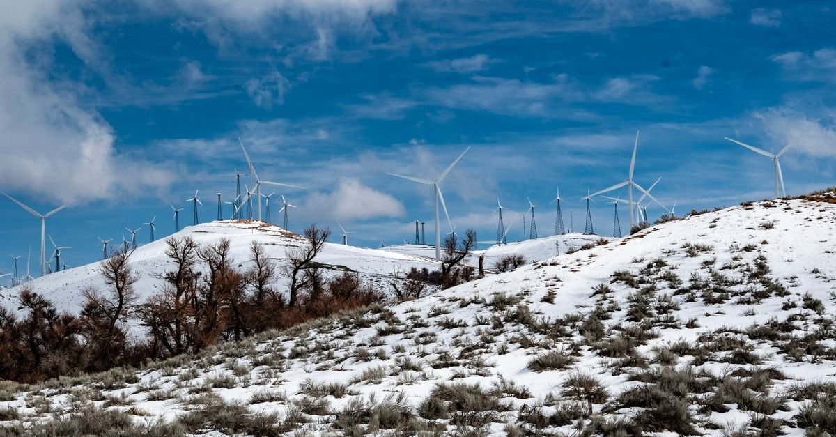 China's Green Finance Policies Show Promise for Low-Carbon Energy Transition