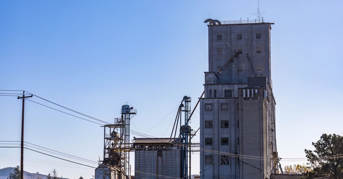 Wood pellet exports expose vulnerable communities to pollution