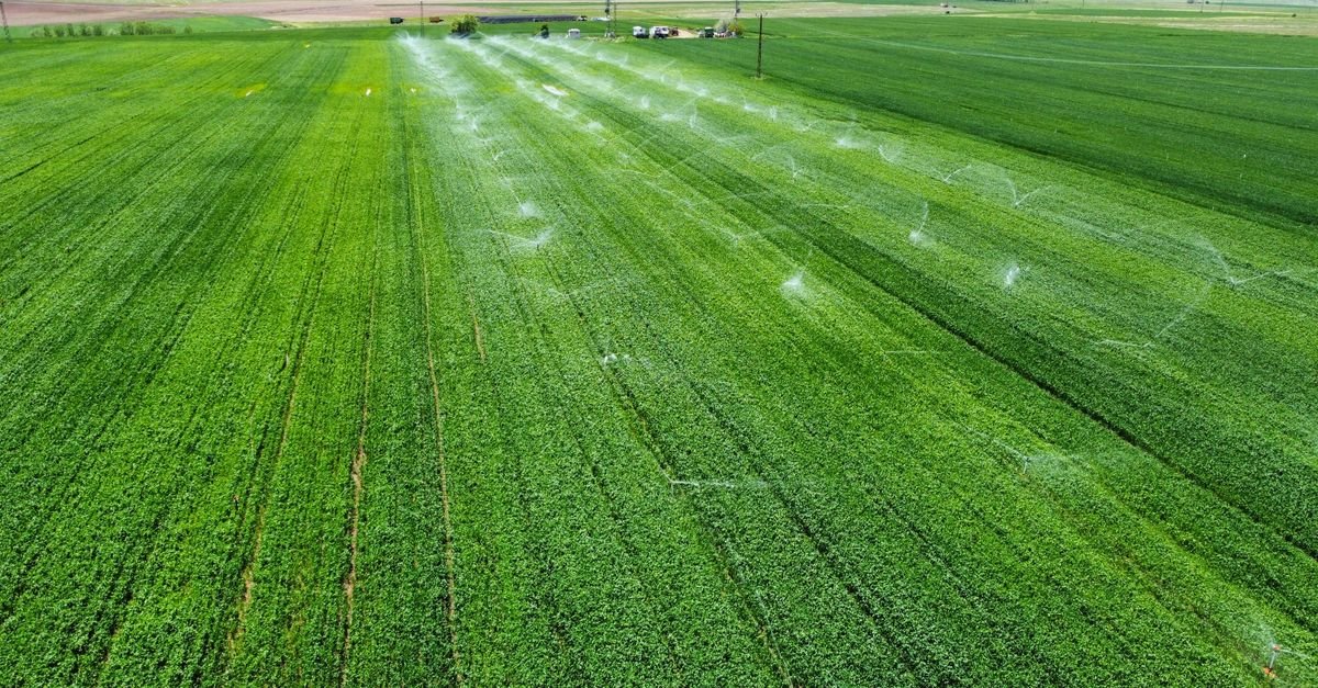 AGL Energy Deploys Microgrid to Power Australian Almond Farm Operations