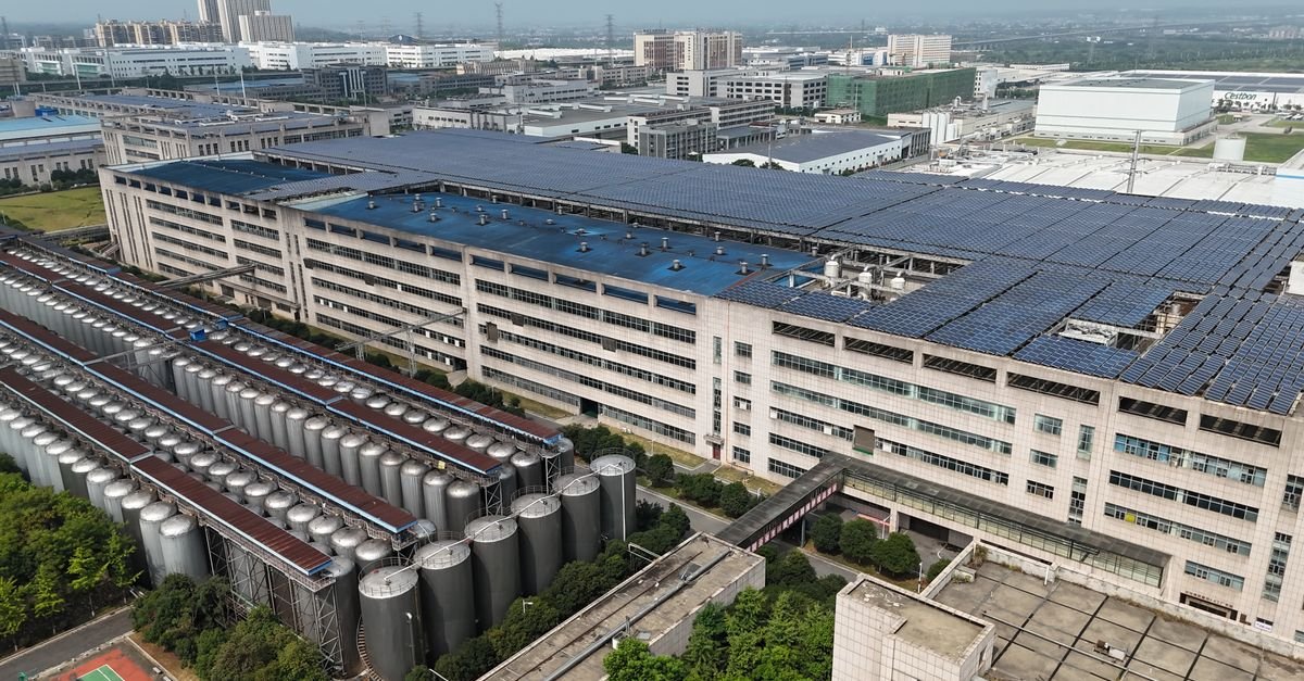 Vopak Completes GES Acquisition, Advances Dutch Battery Project