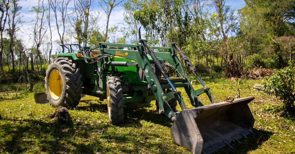 Asia's Biomass Reserves Could Ease Energy Shortages, Remote Sensing Shows