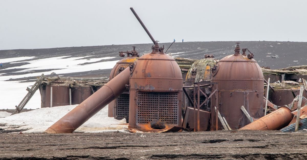 Cyber-Physical Co-Planning Optimizes Antarctic Microgrid Resilience