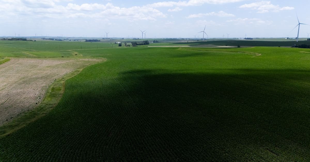 Solar and batteries shore up European grid during extreme heat crisis