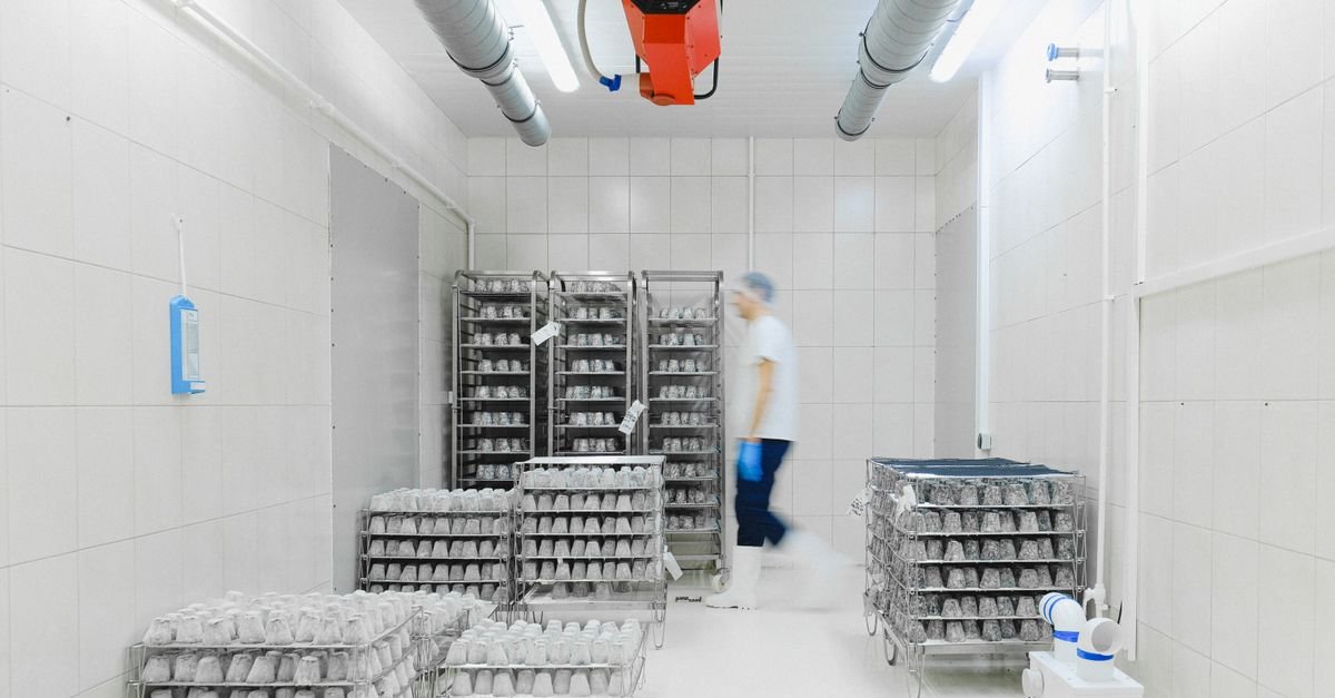 Dark Factories May Reshape Energy Economics for Utilities