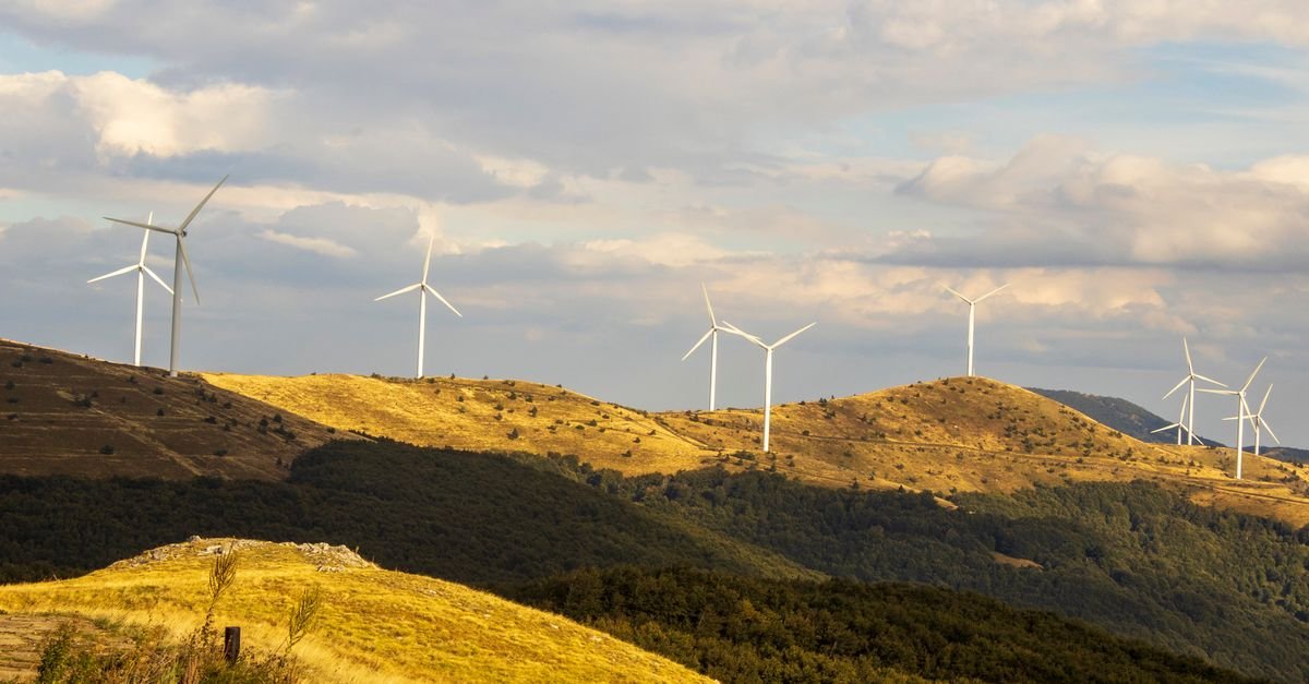 Wind Farm Data Reveals Correlation Patterns Across Scales