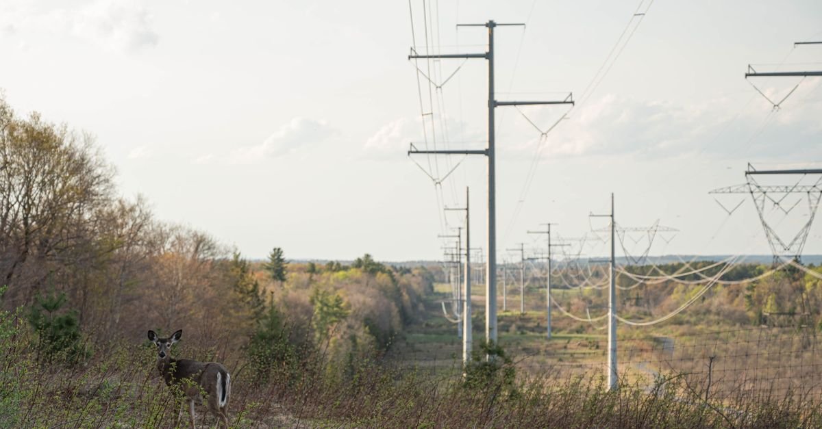 PGE Expands Wildfire Monitoring with Plant Moisture Measurement
