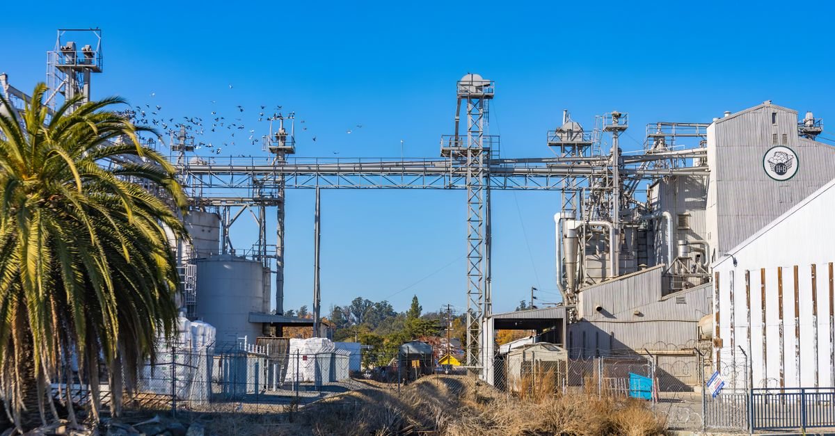 Optimization Models Guide Hydrogen Multi-Energy System Control