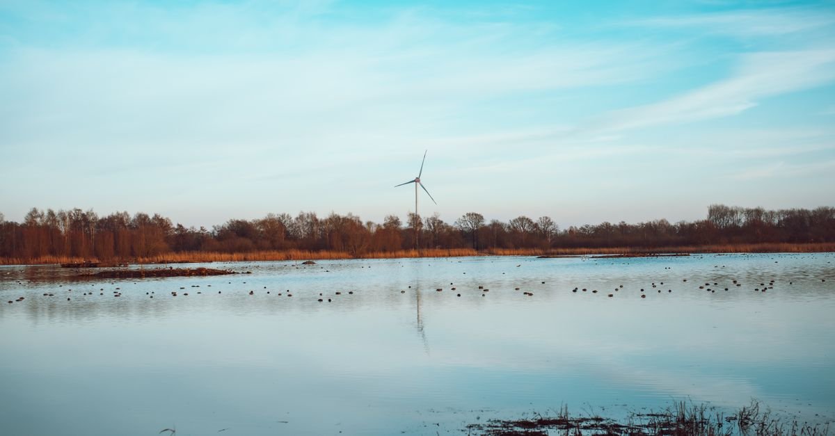 Improved Algorithm Optimizes Microgrid Design for Remote Egyptian Site