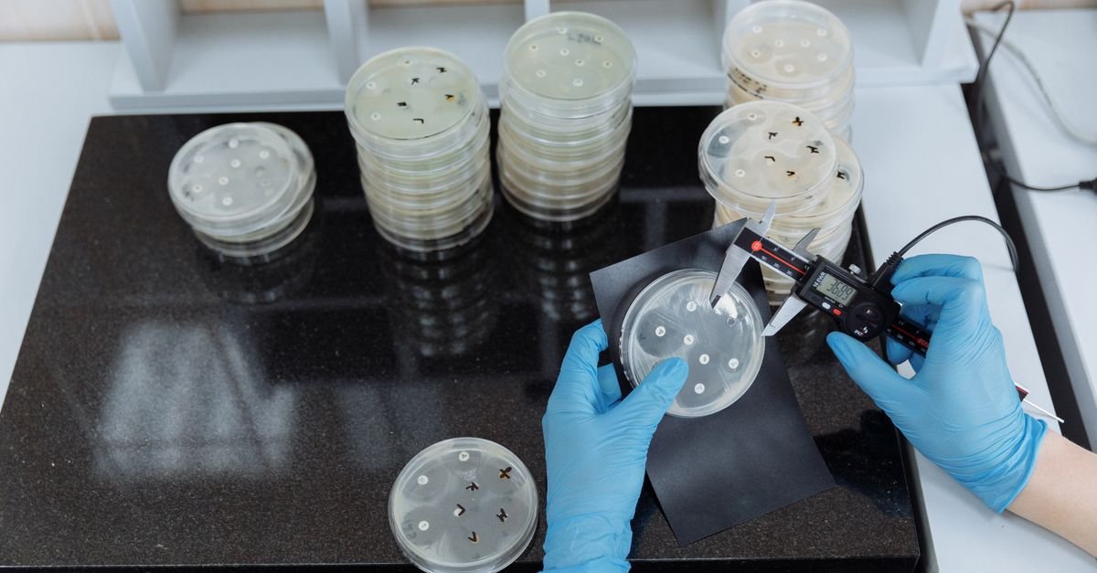 Molecular Crowding Electrolytes Advance Aqueous Battery Performance