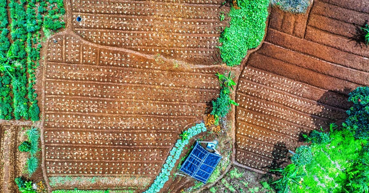 India's Grid Rules May Threaten Renewable Investment Growth