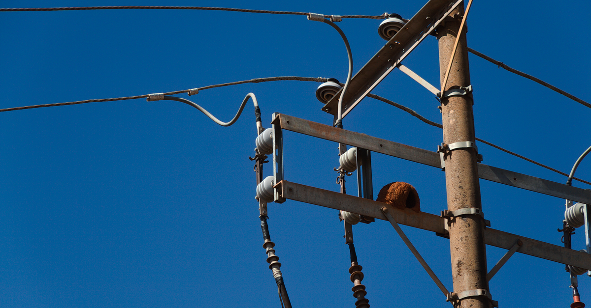 Synchronized Phasors Enable Reliable Open Phase Detection in Distribution Networks