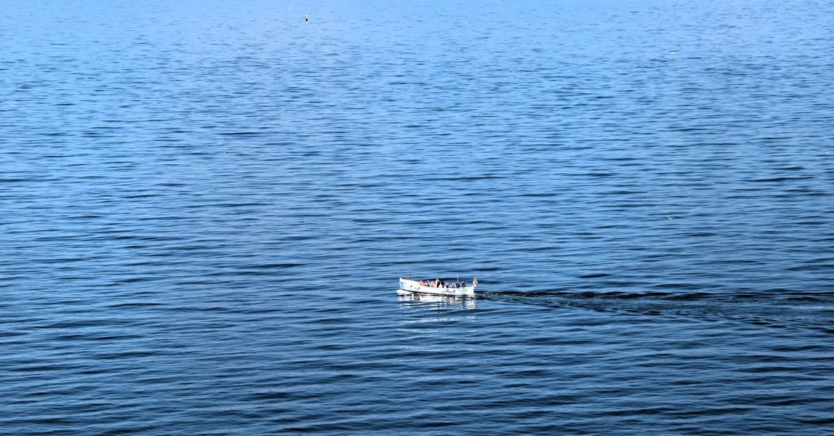 Low-frequency wind gusts drive higher loads on offshore turbines