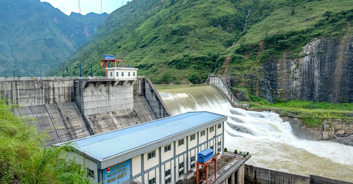Nuclear energy reshapes power markets in hydro-rich grids