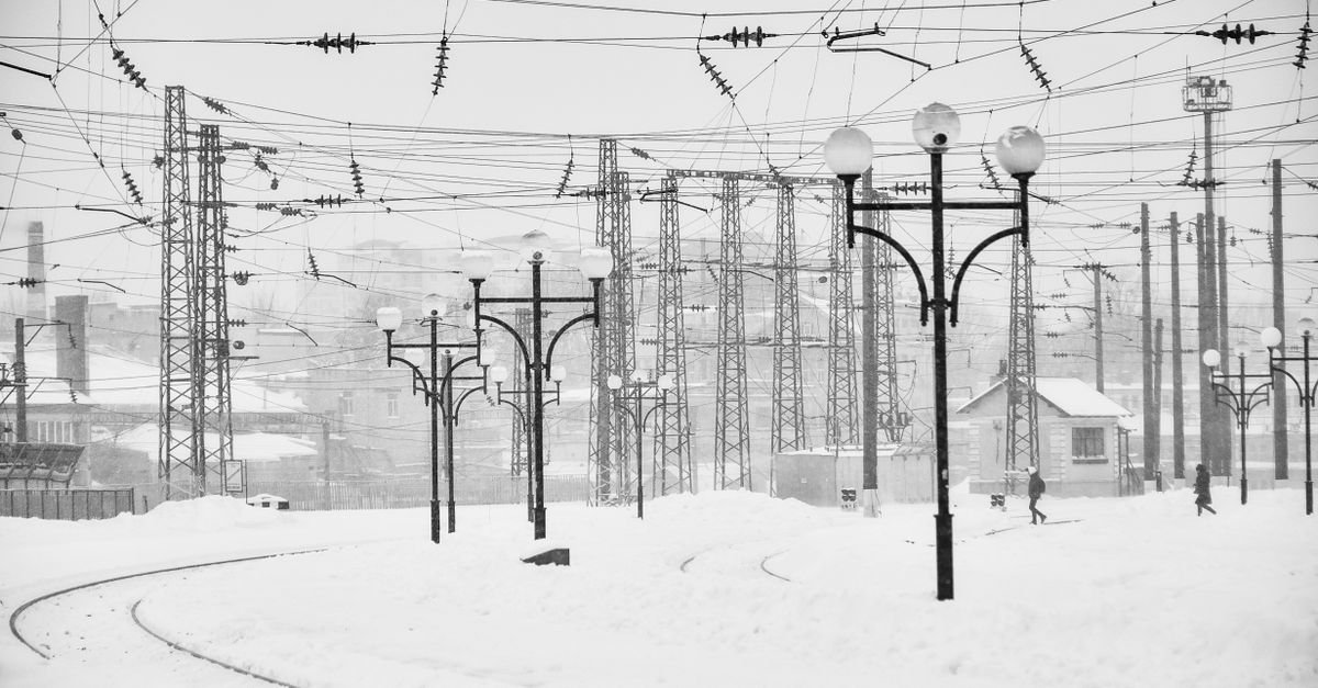 Pareto Optimization Balances Power Loss and Reliability in Distribution Networks
