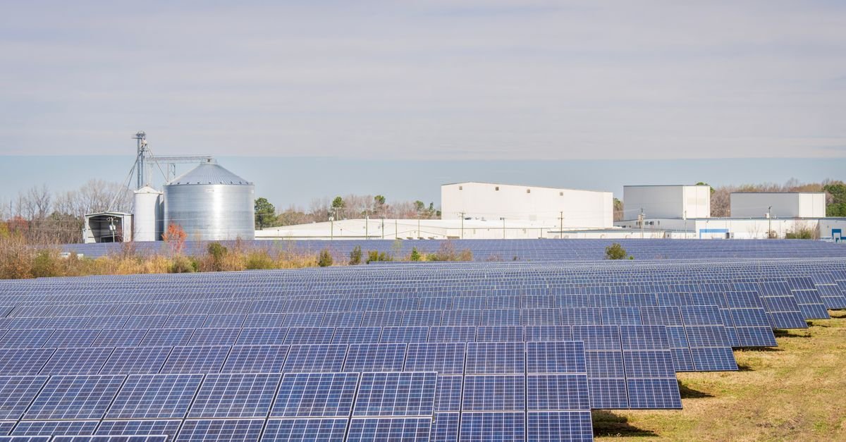 Trina Solar Launches 670W TOPCon Module for Utility-Scale Projects